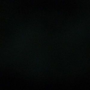 Meet your Posher, Amani